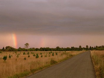 2-rainbows-at-the-sunrise-1466726